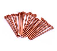 Copper Tree Stump Killer - 50xV.Large 65mm Copper Nails