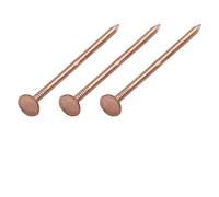 Copper Tree Stump Killer Nails 65mm 75mm Pure Copper Root Elimination Spikes Fast Acting Non Disturbing Solution for Garden Yard