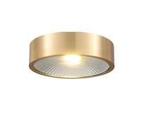 Copper Ultra-Thin Downlight LED Ceiling Lights COB Spotlight Diameter 8cm Nordic Living Room Surface Mounted Wash Wall Lamps Picture Display Accent Lamp Warm White 3000K Fittings