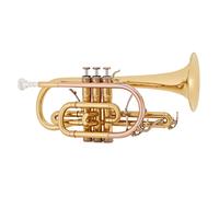 Coppergate Professional Bb Cornet by Gear4music - Nearly New