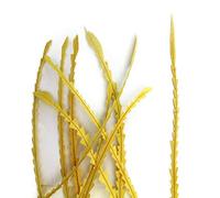 Coque Feathers - Chevron Zig Zag Cut - 25cm - 35cm - Yellow (Yellow - Coque Chevron, 3 Feathers)