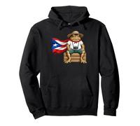 Coqui Frog Puerto Rico Flag Puerto Rican Taino Boricua Pullover Hoodie