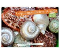 Coquillages, pierres et sable (Calendrier mural 2026 DIN A3 vertical), CALVENDO calendrier mensuel: Souvenirs maritimes qui donnent envie de la mer