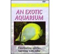 Coral Dreamscapes - Exotic Aquarium [DVD] [1996] [Region 1] [US Import] [NTSC]