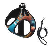 Coral Fish Underwater Print Soft Pet Harness and Leash Set, Adjustable Mesh Puppy Vest Harness for Small Small Large Dogs and Cats