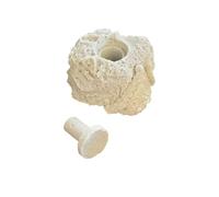 Coral Frag Propagation Rock x 1 With Plug