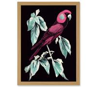 Coral Parrot On Tree Branch Silver Linocut Illustration Modern Vibrant Artwork Framed Wall Art Print A4 Artery8 Light Oak One Size