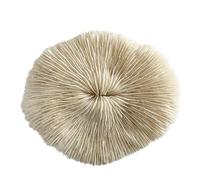 Coral Plastic Mushroom Shaped Decor White Fabric Ornament for Display