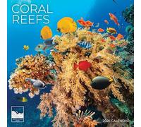 Coral Reef 2026 Wall Calendar | 12" x 24" Open | Nature Photography Thick & Sturdy Paper for Organizing & Planning | Office Kitchen Decor or Gift | Pacific Waters Press