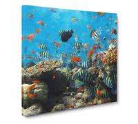 Coral Reef And Fish Vol.2 Canvas Print | Gallery Wrapped 30mm Frame Wall Art | 14x14 inches | Ready to Hang | Modern Animals Picture | Living Room Bedroom Lounge Office