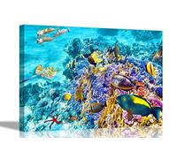 Coral Reef and FIshes Canvas Prints Wall Art Pictures Framed Animal Photos Hanging Sretched Framed Artwork Office Home Decor 86 x 61cm (34 x 24 inches)