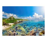 Coral Reef Backdrop Tropical Ocean Island Underwater Atoll World Photography Background Seaside Ocean Floor Turquoise Waters Under The Sea Backdrop for Kids Children Birthday Photo Props 7x5ft