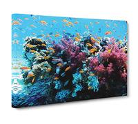 Coral Reef Fish Canvas Print | Gallery Wrapped 30mm Frame Wall Art | 20x14 inches | Ready to Hang | Modern Animals Picture | Living Room Bedroom Lounge Office