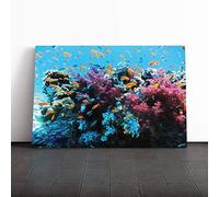 Coral Reef Fish Canvas Print | Gallery Wrapped 30mm Frame Wall Art | 20x14 inches | Ready to Hang | Modern Animals Picture | Living Room Bedroom Lounge Office