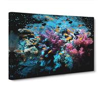Coral Reef Fish Canvas Print | Gallery Wrapped 30mm Frame Wall Art | 30x20 inches | Ready to Hang | Modern Animals Picture | Living Room Bedroom Lounge Office