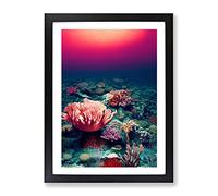 Coral Reef Floor Framed Print for Living Room Bedroom Home Office Décor, Wall Art Picture Ready to Hang, Black A3 Frame (34 x 46 cm)