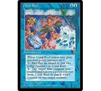 Coral Reef | Homelands