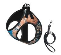 Coral Reef Print Pet Leash Vest Reflective Adjustable Soft Mesh Vest Breathable For Daily Walks