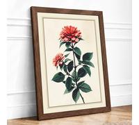 Coral Roses in Bloom Botanical Framed Wall Art Print A1 (84.1×59.4cm) Walnut, Wall Decor for Living Room, Bedroom, Office & Home, Ready to Hang, Art Gift