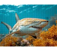 Coral Shark Puzzle - 5000 Piece Jigsaw Puzzles for Adults - The Back Features Printed Letter Guides - The Pieces fit Together Snugly - Wooden Puzzles for Adults - Gifts Family 61.6 X 41.5 Inch s7h-427