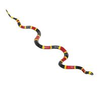 Coral Snake