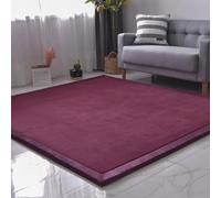 Coral Velvet Non Slip Rug for Bedroom Living Room Nursery Yoga & Classroom Soft Crawling Mat 200x300cm Home Decor for Comfort & Style