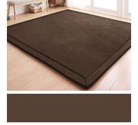 Coral Velvet Play Mat & Yoga Mat Anti Slip Exercise Pads Soft Indoor Area Rug for Bedroom & Classroom Modern Floor Carpet (E 200 x 260cm)