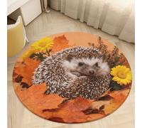 Coral Velvet Round Area Rug 2.5' Non-Slip TPR Backing Carpet 0.2 Inch Low Pile Hedgehog in Orange Leaves Door Mat Washable Decorative Floor Rug for Bathroom Kitchen Entryway Home Decor