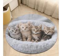 Coral Velvet Round Area Rugs for Bedroom 2.5' Thin 0.2" Non Slip Low Pile Circle Kittens Family Cats Bath Rug Absorbent Front Door Mat Plush Floor Carpet for Entryway Dorm Home Decor