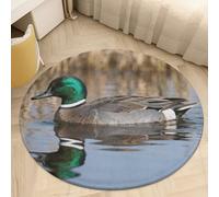 Coral Velvet Round Area Rugs for Bedroom 3' Thin 0.2" Non Slip Low Pile Circle Green-Headed Duck Water Bath Rug Absorbent Front Door Mat Plush Floor Carpet for Entryway Dorm Home Decor