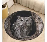 Coral Velvet Round Area Rugs for Bedroom 3' Thin 0.2" Non Slip Low Pile Circle Owl at The Cave Entrance Bath Rug Absorbent Front Door Mat Plush Floor Carpet for Entryway Dorm Home Decor