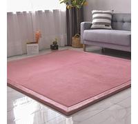 Coral Velvet Yoga Mat & Play Mat Anti Slip Exercise Pads Soft Indoor Area Rug for Bedroom & Classroom Modern Carpet 200x240cm