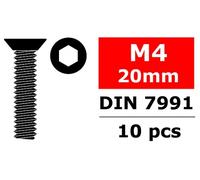 CORALLY STEEL SCREWS M4 X 20MM HEX FLAT HEAD 10 PCS C-3002-40-20