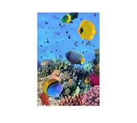 Corals, underwater, fish & aquatic animals，1000 Pieces Jigsaw Puzzles for Adults Educational Toys Unique Home Decorations and Gifts（50x70cm）-AR54
