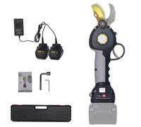 Cordless Electric Pruning Shears, 30MM Dual-Action Blades, 4000mAh Battery, Quick Charging, Drop-Forged Alloy Steel for Small Branches
