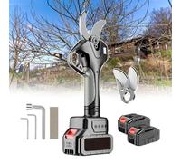 Cordless Electric Tree Pruning Shear with Extension Pole, 2 Batteries & Charger, Professional Branch Pruner Secateurs