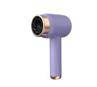 Cordless Hair Dryer,Portable Lightweight Fast Drying Negative Ion Hairdryer Blowdryer,Travel Blow Dryer, 3 Wind Speed Levels, Low Noise Blow Dryer for Home, Trave(Purple)