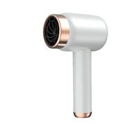 Cordless Hair Dryer,Portable Lightweight Fast Drying Negative Ion Hairdryer Blowdryer,Travel Blow Dryer, 3 Wind Speed Levels, Low Noise Blow Dryer for Home, Trave(White)