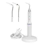 Cordless Heated Pen Obturation System, En~do Heat Plugger with 2 Tips for Heating/Cutting/Compressing, Rapid Heating to 200°C in 3S