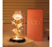 Cordless Miniature Flower Night Light, Featuring a Glass Dome - A Romantic Floral Lamp Perfect as a Gift for Mom Grandmother Wife Girlfriend Sister