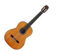 Cordoba C10 Cedar
