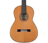 Cordoba Friederich Classical Nylon Guitar & Case