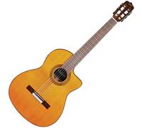 Cordoba Fusion 12 Natural Cedar Classical Electro Acoustic Guitar