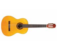 Cordoba Protege C1 Nylon Guitar