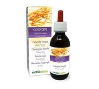 Cordyceps or Caterpillar Mushroom (Cordyceps sinensis or Ophiocordyceps sinensis) Fungus or Mushroom Alcohol-Free Mother Tincture Naturalma - Liquid Extract Drops 120 ml - Food Supplement - Vegan