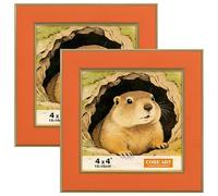 CORE ART 4x4 Picture Frames, Orange Photo Frames Set of 2, Square Colorful Frame with HD Plexiglass, Wall or Tabletop Display