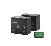 Core Mini- 12.8V 100Ah Lithium Iron Phosphate Battery - 1 Battery