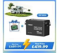 Core Mini - 12.8V Lithium Iron Phosphate Battery 300Ah / 200Ah / 100Ah - 300Ah / 1 Battery W/ Battery Monitor