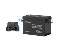 Core Mini - 12.8V Lithium Iron Phosphate Battery 300Ah / 200Ah / 100Ah - 300Ah / 1 Battery W/ Battery Monitor