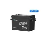Core Mini - 12.8V Lithium Iron Phosphate Battery 300Ah / 200Ah / 100Ah - 300Ah / 1 Battery W/ Battery Monitor